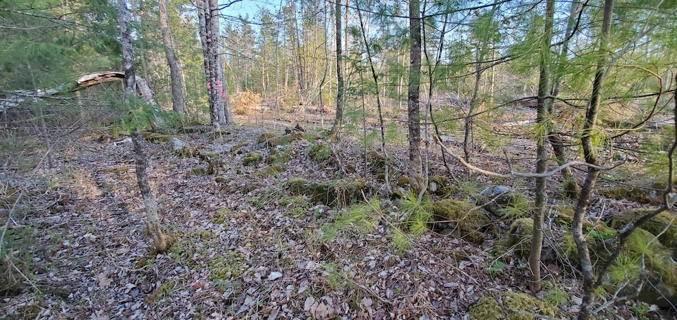 land 2