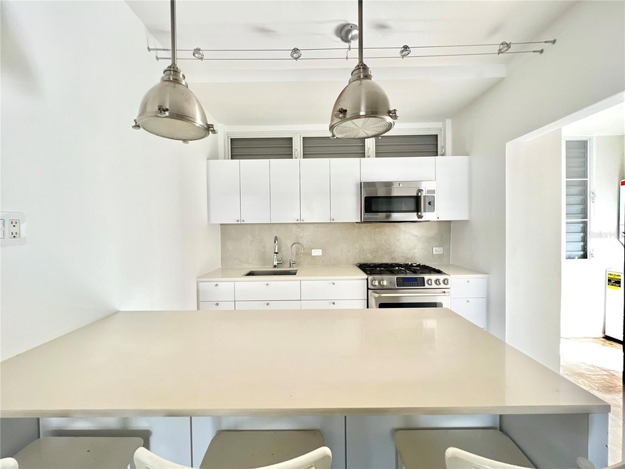 904 Calle José Martí Cond Nilsa Apt C1, San Juan, PR 00907 - photo 1