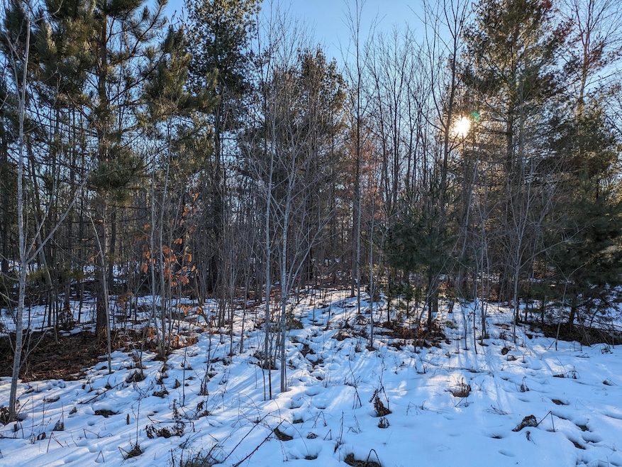 PXL_20240203_210529992