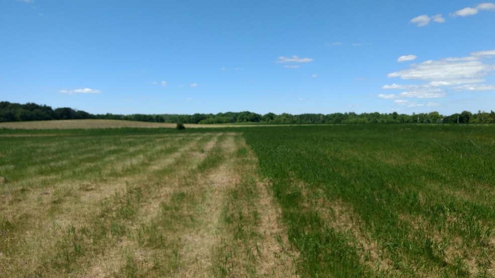 IMG_20170606_143217823