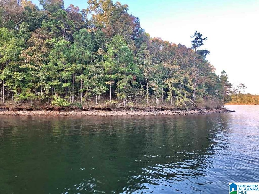 0 County Road 3292 unit 898520, Wedowee, AL 36278 - photo 1