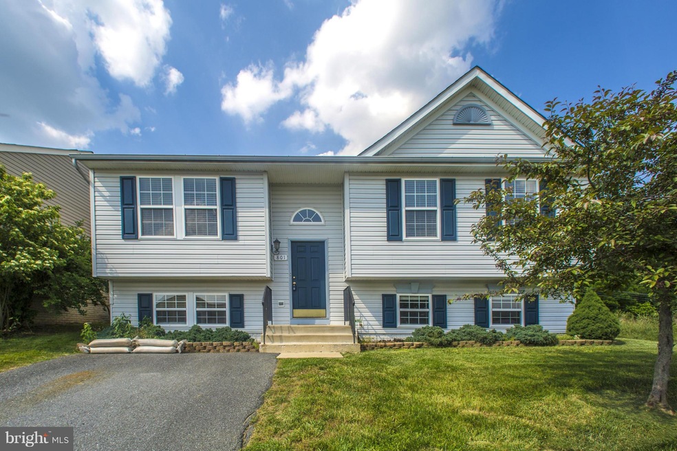 801 Brunswick St, Brunswick, MD 21716 - photo 1