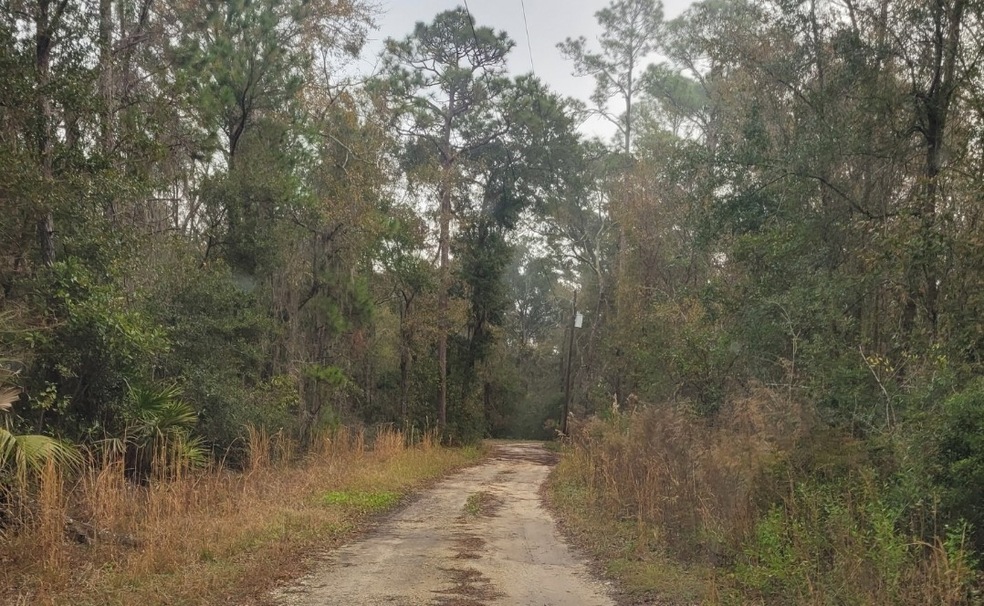 Trail towards the property