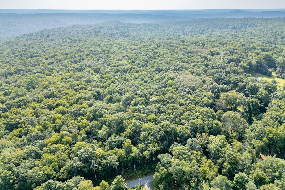 0 Tater Hill Rd unit 24032404, East Haddam, CT 06423 - photo 1