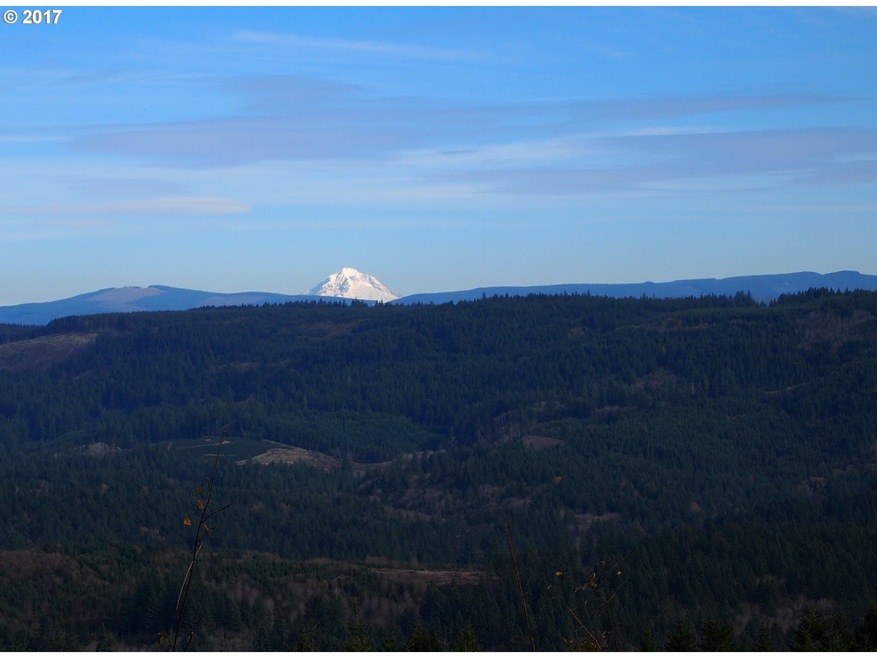 3494 Crooked Finger Rd NE, Scotts Mills, OR 97375 - photo 1