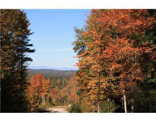 Land/Lot.