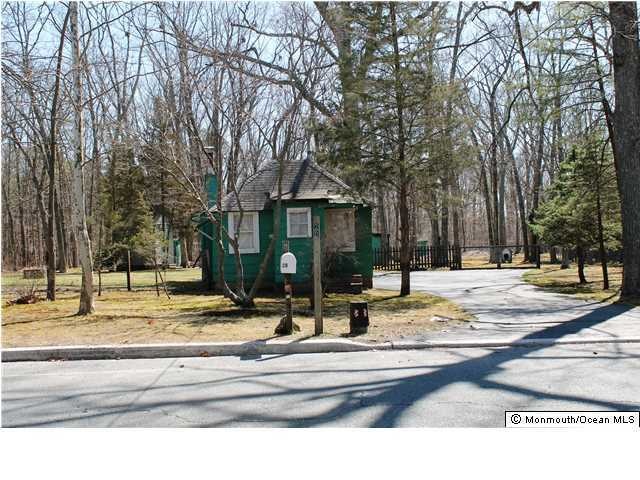 Primary Photo