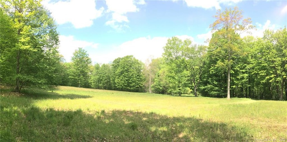 67 Mallory Rd, Roxbury, CT 06783 - photo 1