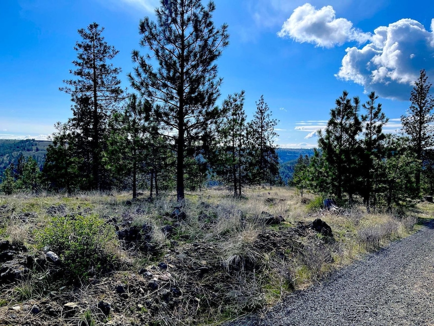 34430 N Partridge Ln N, Davenport, WA 99122 - photo 1