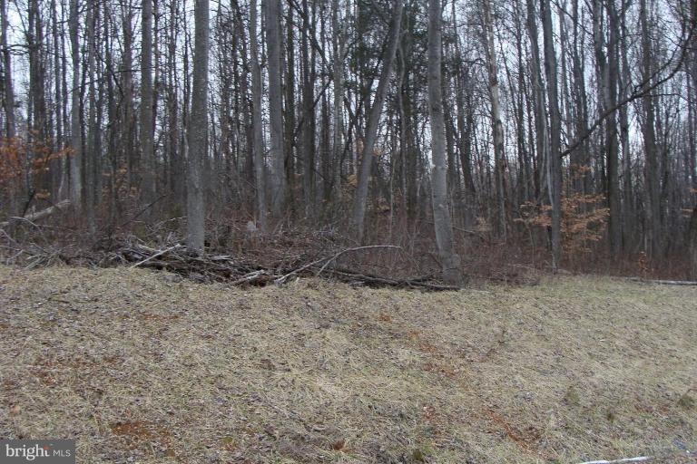 0 Jones Farm Rd unit 1000402921, Bentonville, VA 22610 - photo 1