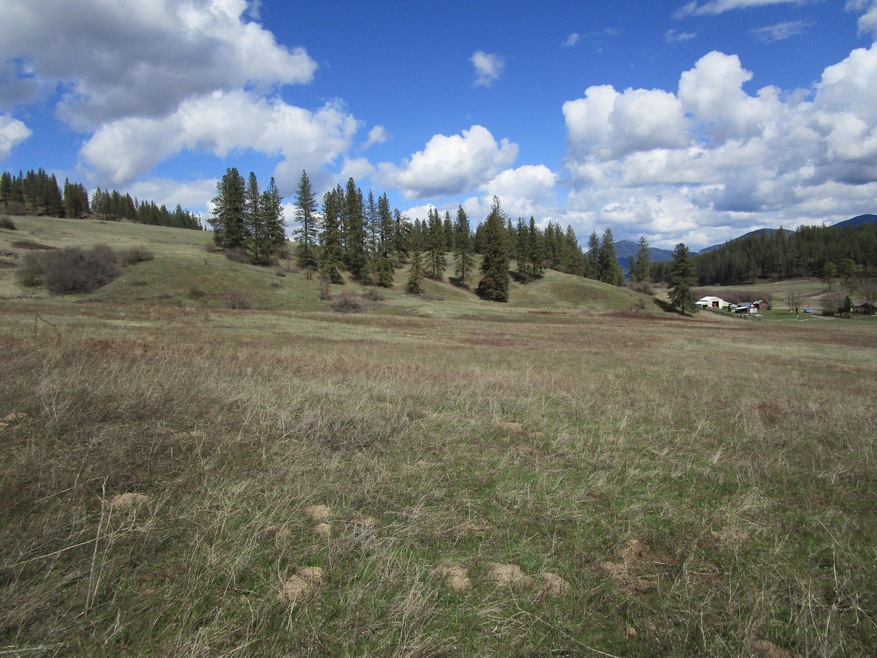 Land