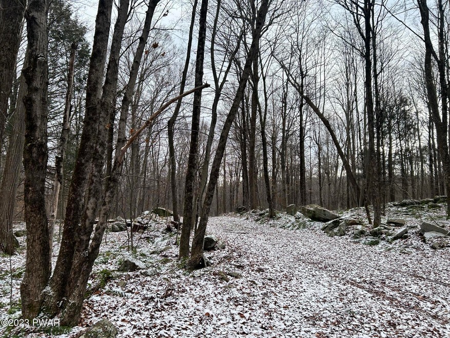 0 Wheelock Way unit PWBPW240052, Honesdale, PA 18431 - photo 1