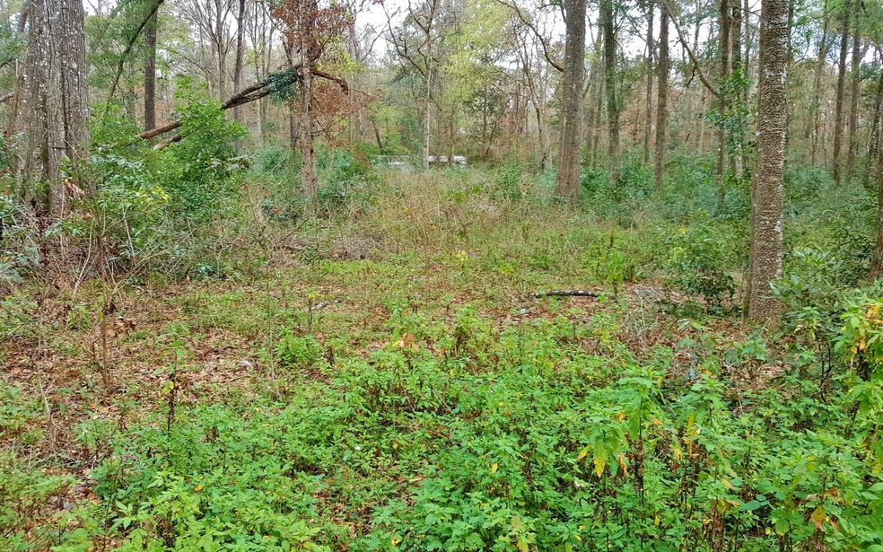 0 Reno Way unit 106918, Fort White, FL 32038 - photo 1