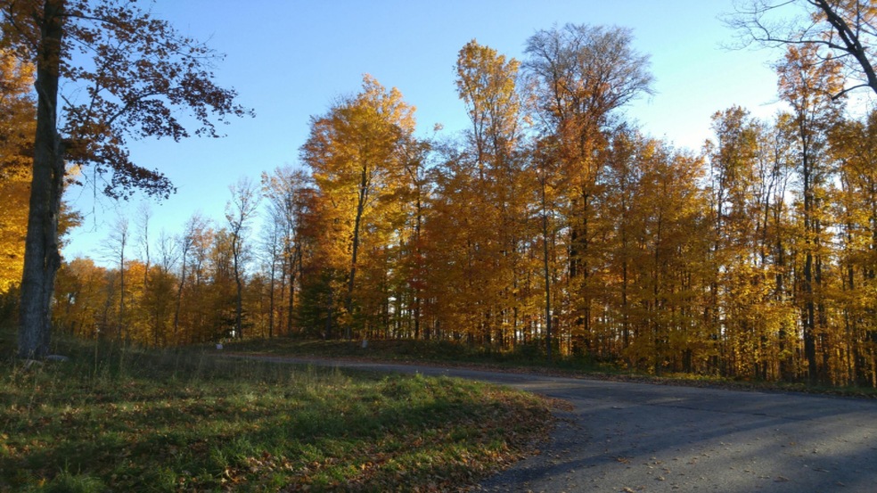 falll hills of mc