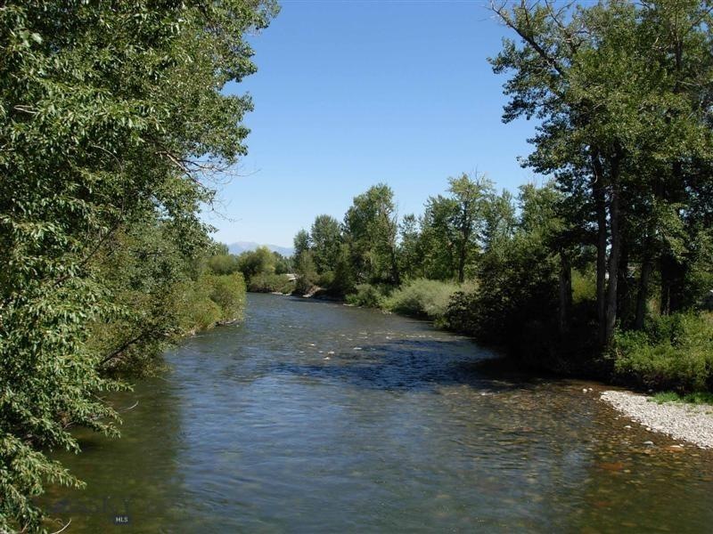 View of the Gallatin River