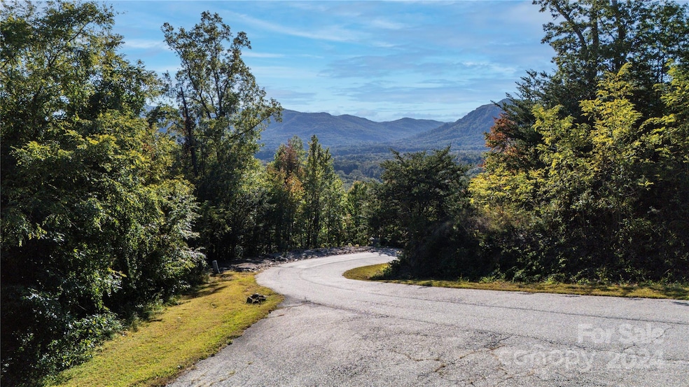 TBD (Lot 9) Holland Dr, Columbus, NC 28722 - photo 1