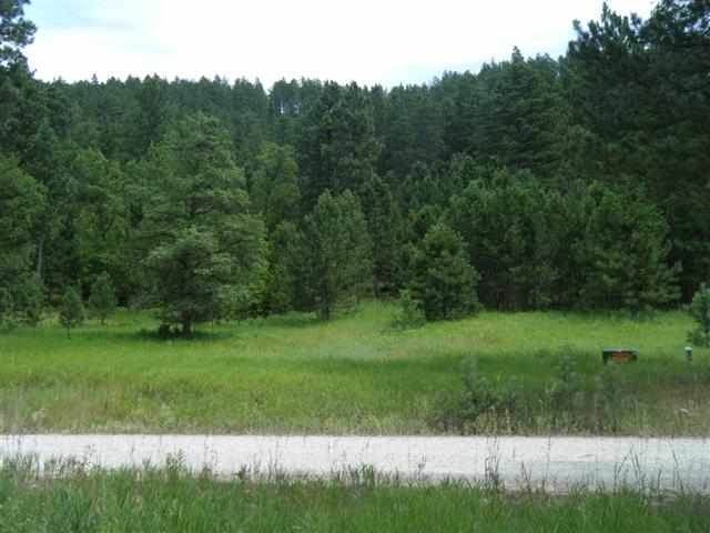 Tract 4 Higgins Gulch Rd, North Lawrence, SD 57783 - photo 1