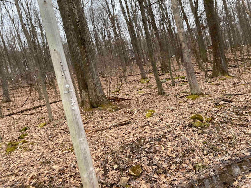 TBD Pond Lily Ln, Terra Alta, WV 26764 - photo 1