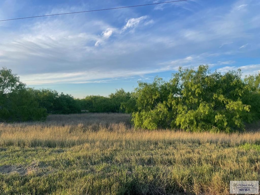 0 Fm 1732 unit 29751290, Olmito, TX 78520 - photo 1