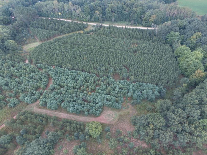 DJI_0266