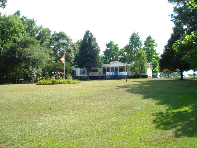 Main View