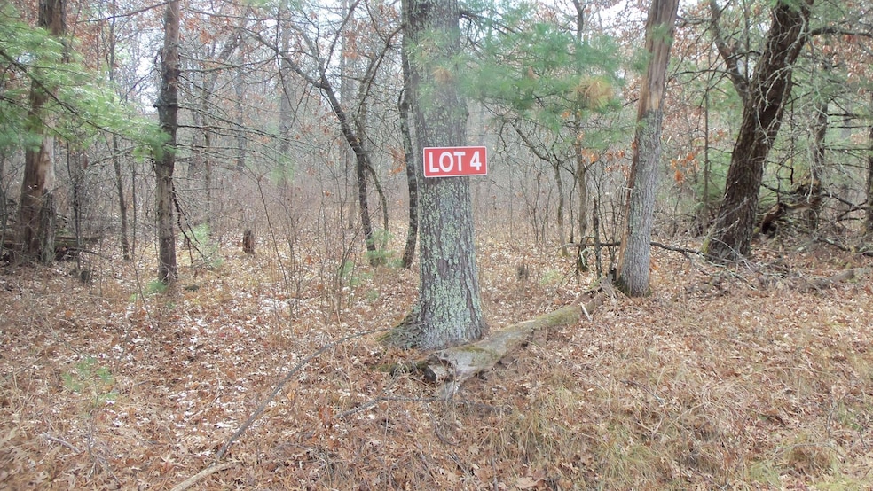 Lot 4 Mclain Rd, Grantsburg Township, WI 54840 - photo 1