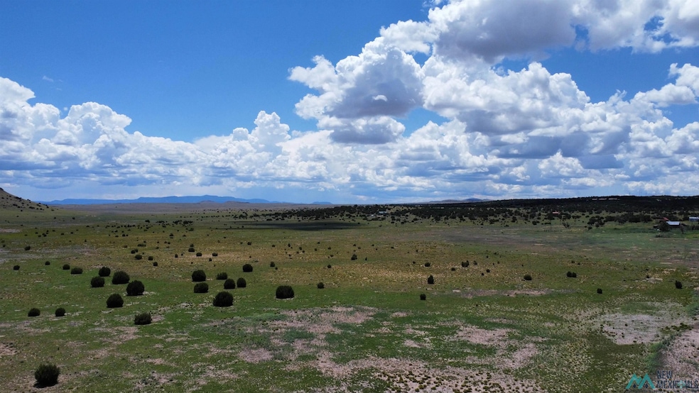 Lot 145 Quail Rd, Quemado, NM 87829 - photo 1