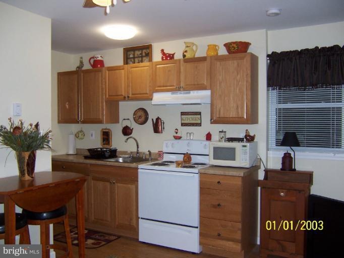 3836 Muddy Creek Rd, Edgewater, MD 21037 - photo 1