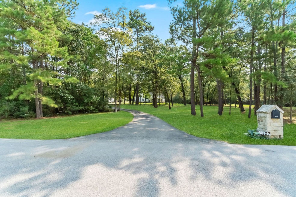 A shaded driveway through the trees welcomes you home.