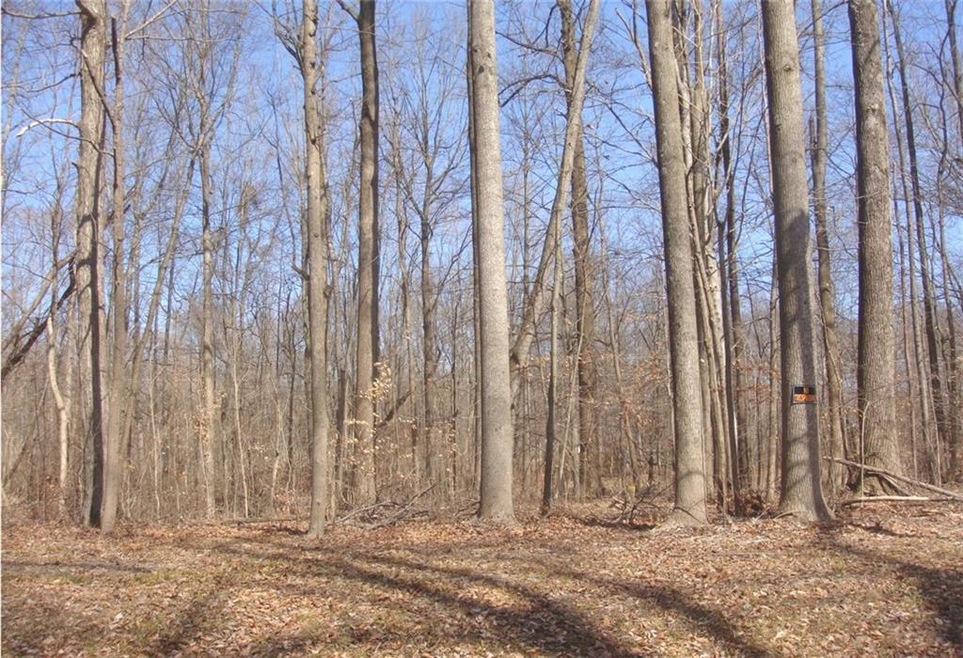 1061 E Niagara Trail, Fugit Township, IN 47240 - photo 1