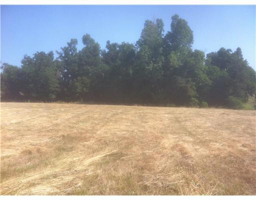 Tract 2 Barrington Rd, Tontitown, AR 72762 - photo 1