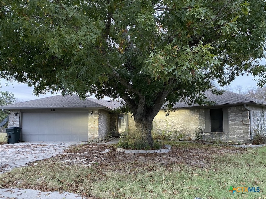 201 Owl Hollow Cove, Killeen, TX 76543 - photo 1