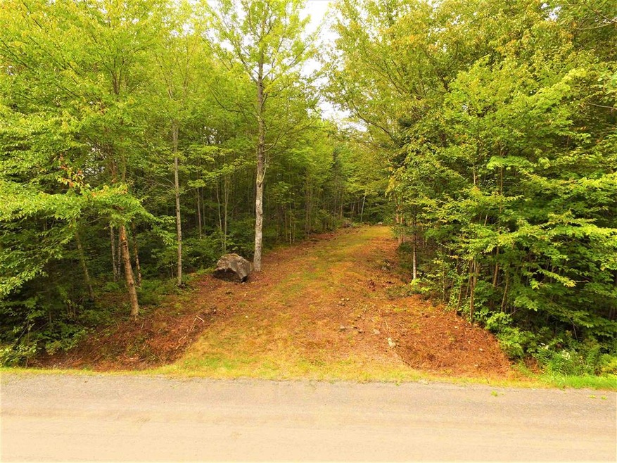 00 Franconia Mountain Rd unit 24, Franconia, NH 03580 - photo 1