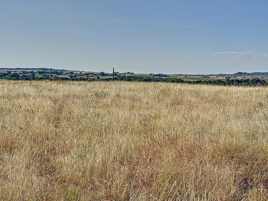 Lot View