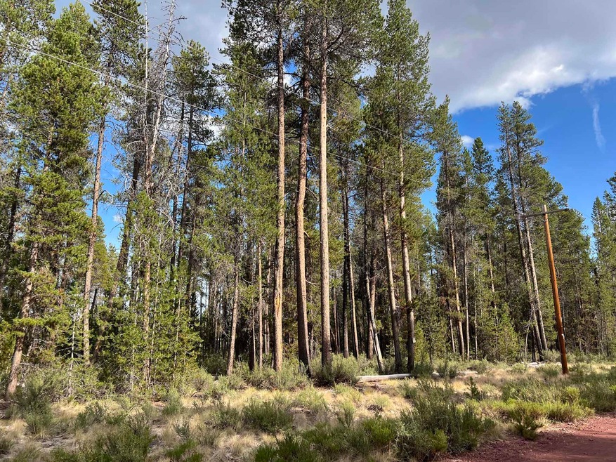 Lot 6 Cloudcap ~ Mt. Scott Meadow