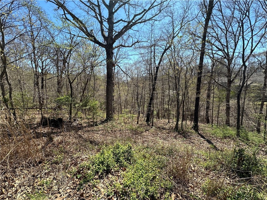 0 Diss Ln, Bella Vista, AR 72715 - photo 1