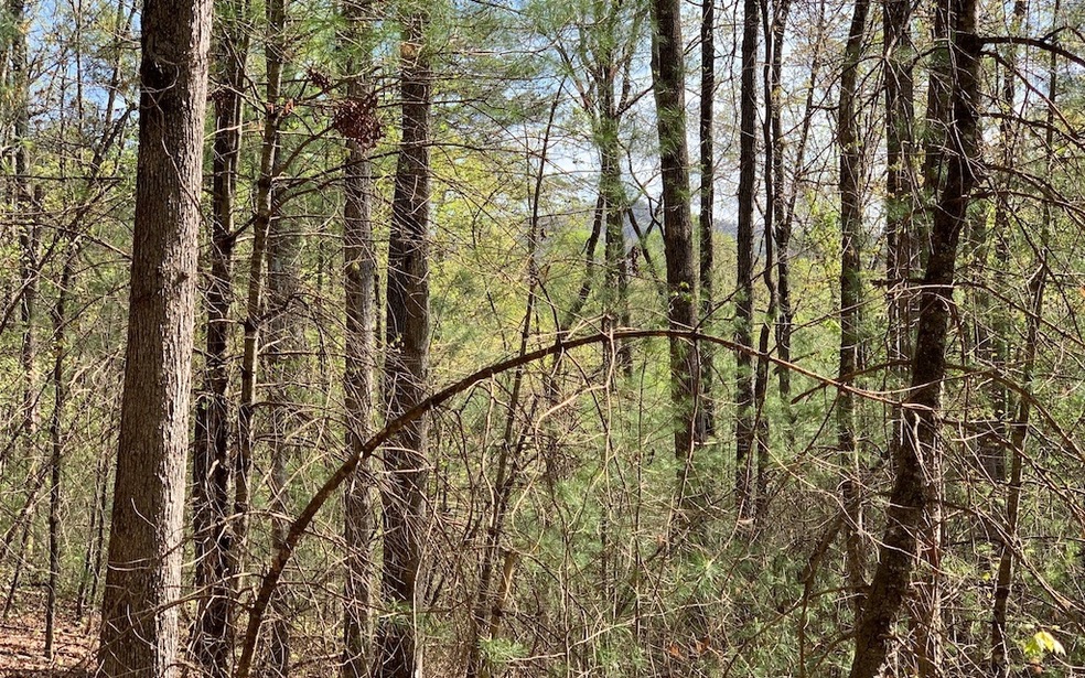 LT 1 Dover Highlands Trail, Ellijay, GA 30540 - photo 1