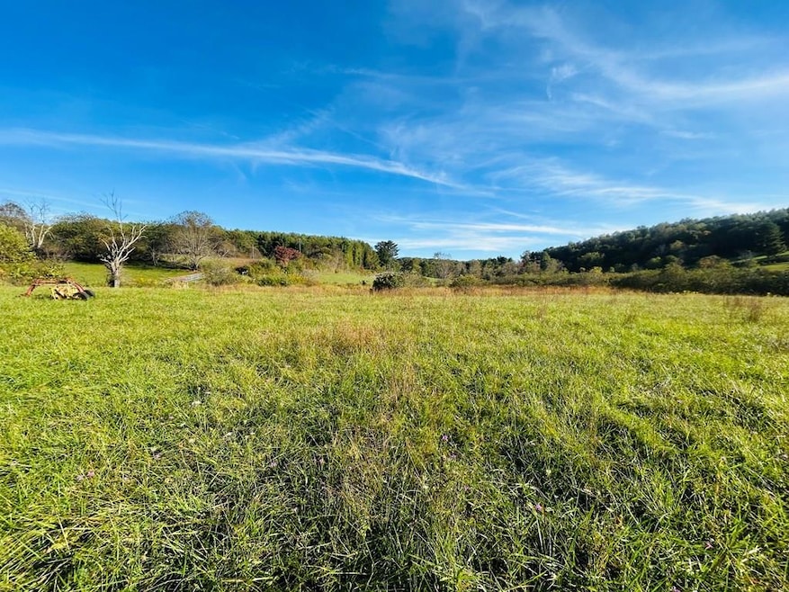 TBD Mira Fork Rd NW, Willis, VA 24380 - photo 1