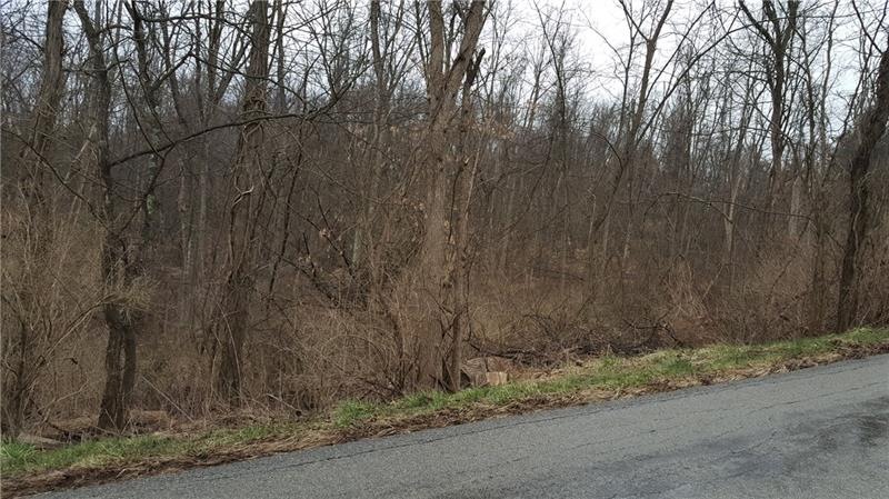 21 Acres in Nottingham Twp - Zoned R1 - Rural Resi