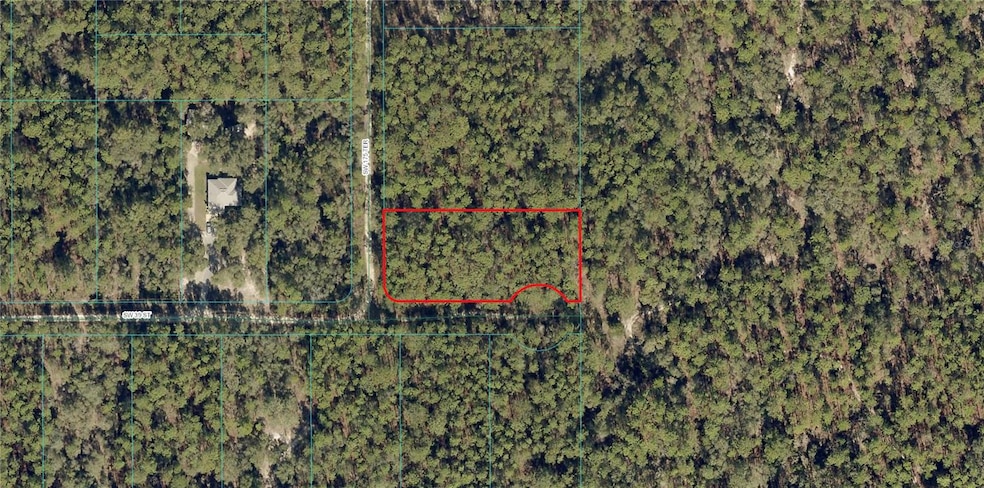 3895 SW 175th Terrace, Dunnellon, FL 34432 - photo 1