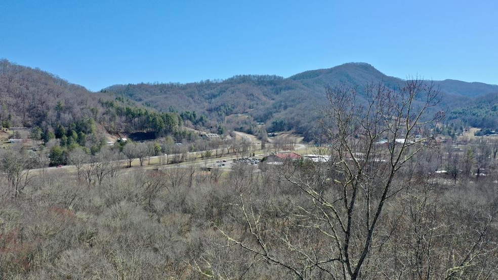 000 Lyle Wilson Rd, Cullowhee, NC 28723 - photo 1