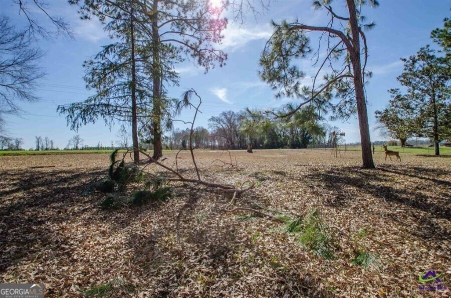 322 District Line Rd, Cordele, GA 31015 - photo 1