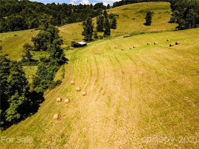 000 Don Felmet Rd, Leicester, NC 28748 - photo 1