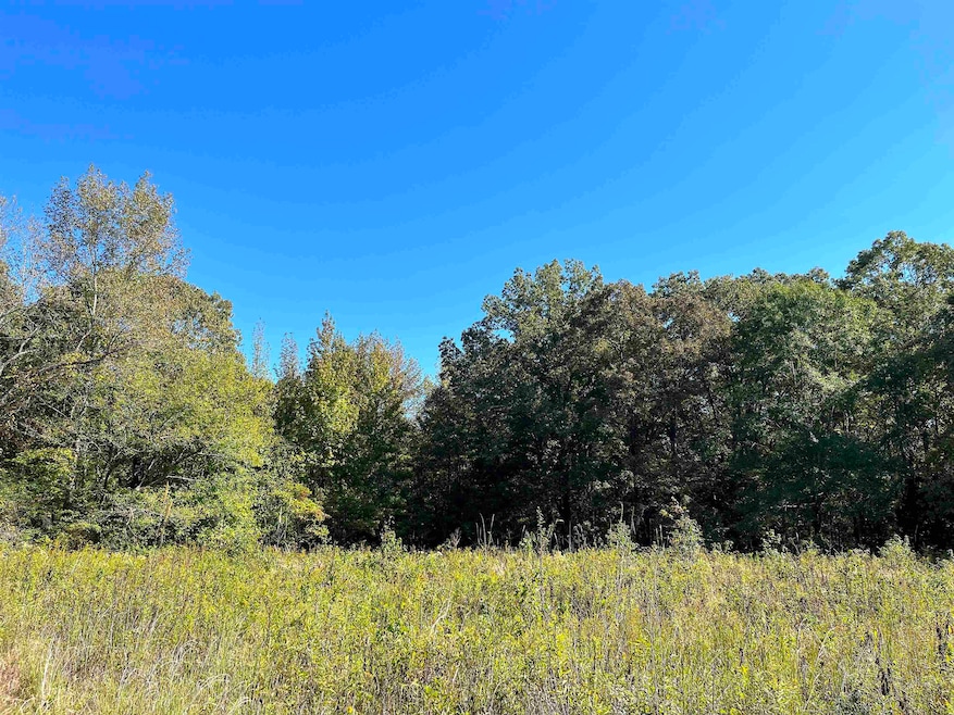 1705 Good Springs Loop, Williston, TN 38076 - photo 1