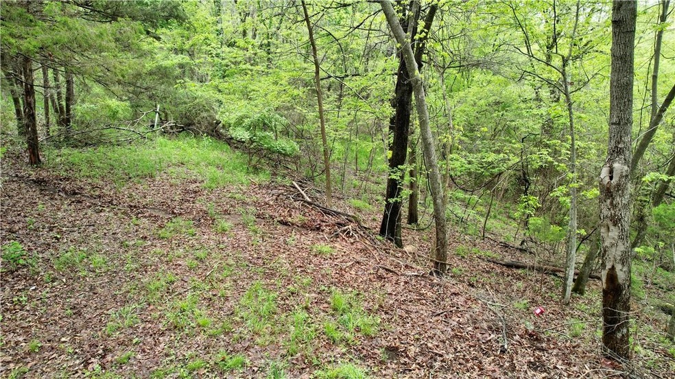 13154 Allen Dr, Lowell, AR 72745 - photo 1