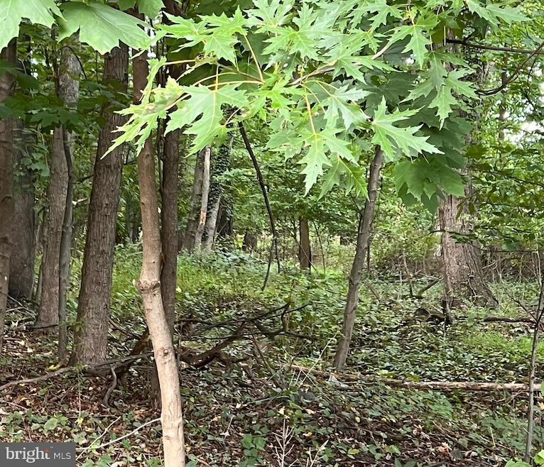 L:25 Mandl St, Hamilton Township, NJ 08619 - photo 1