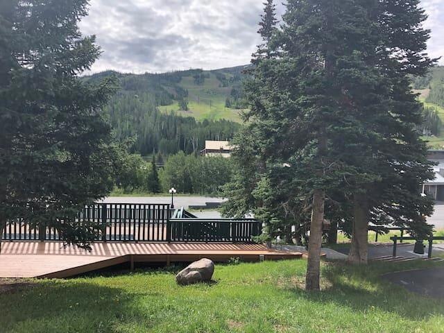 Views from front window
