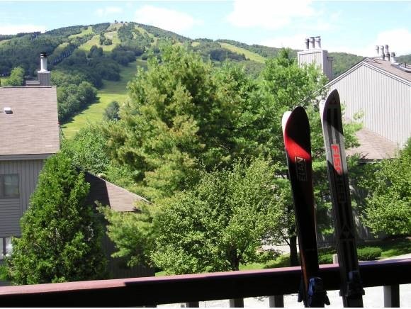 337 Handle Rd unit I, West Dover, VT 05356 - photo 1