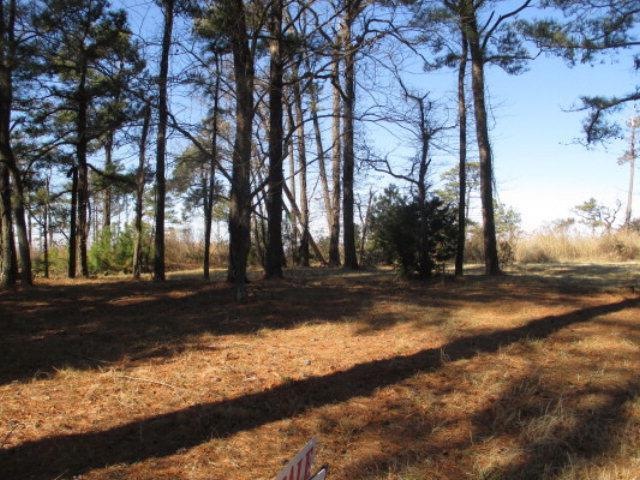 Lot # 5 Wildcat Ln unit 5, Chincoteague, VA 23336 - photo 1