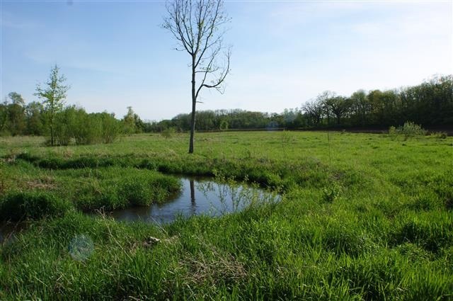 W751 Elmer Rd, Brooklyn, WI 53521 - photo 1